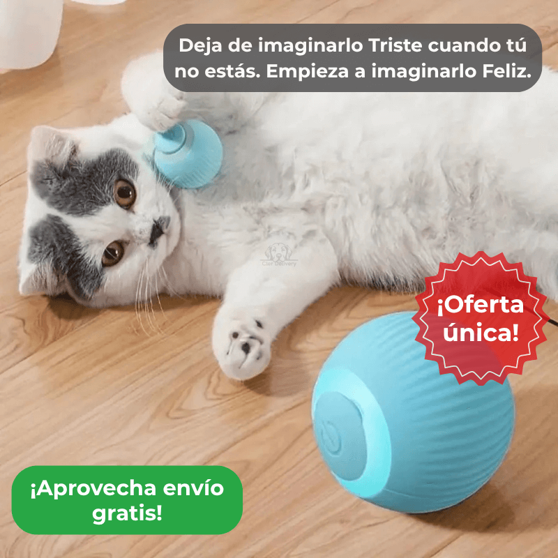 Pelota mágica para Gatos