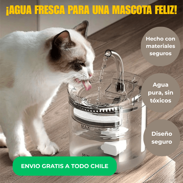 Fuente H2O Mascota - Agua fresca todo el día