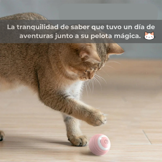 Pelota mágica para Gatos