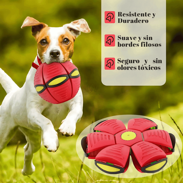 Magic Ball - Diversión Viral para tu Mascota