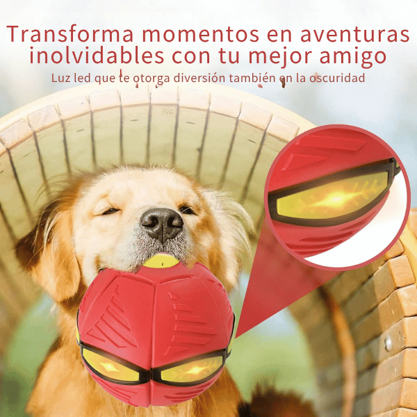 Magic Ball - Diversión Viral para tu Mascota