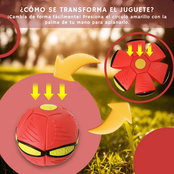 Magic Ball - Diversión Viral para tu Mascota
