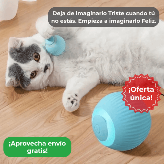 Pelota mágica para Gatos