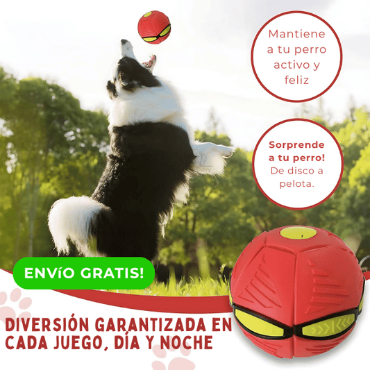 Magic Ball - Diversión Viral para tu Mascota